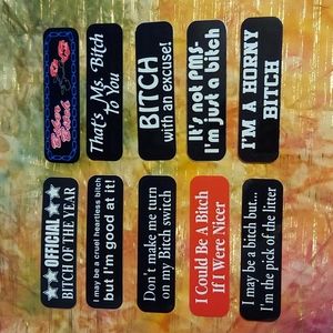 10 Bitchin' Helmet Stickers NEW